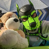 PupWrafie Profile Picture