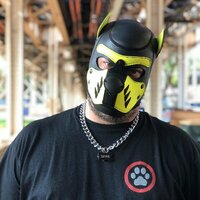 Spike Profile Picture